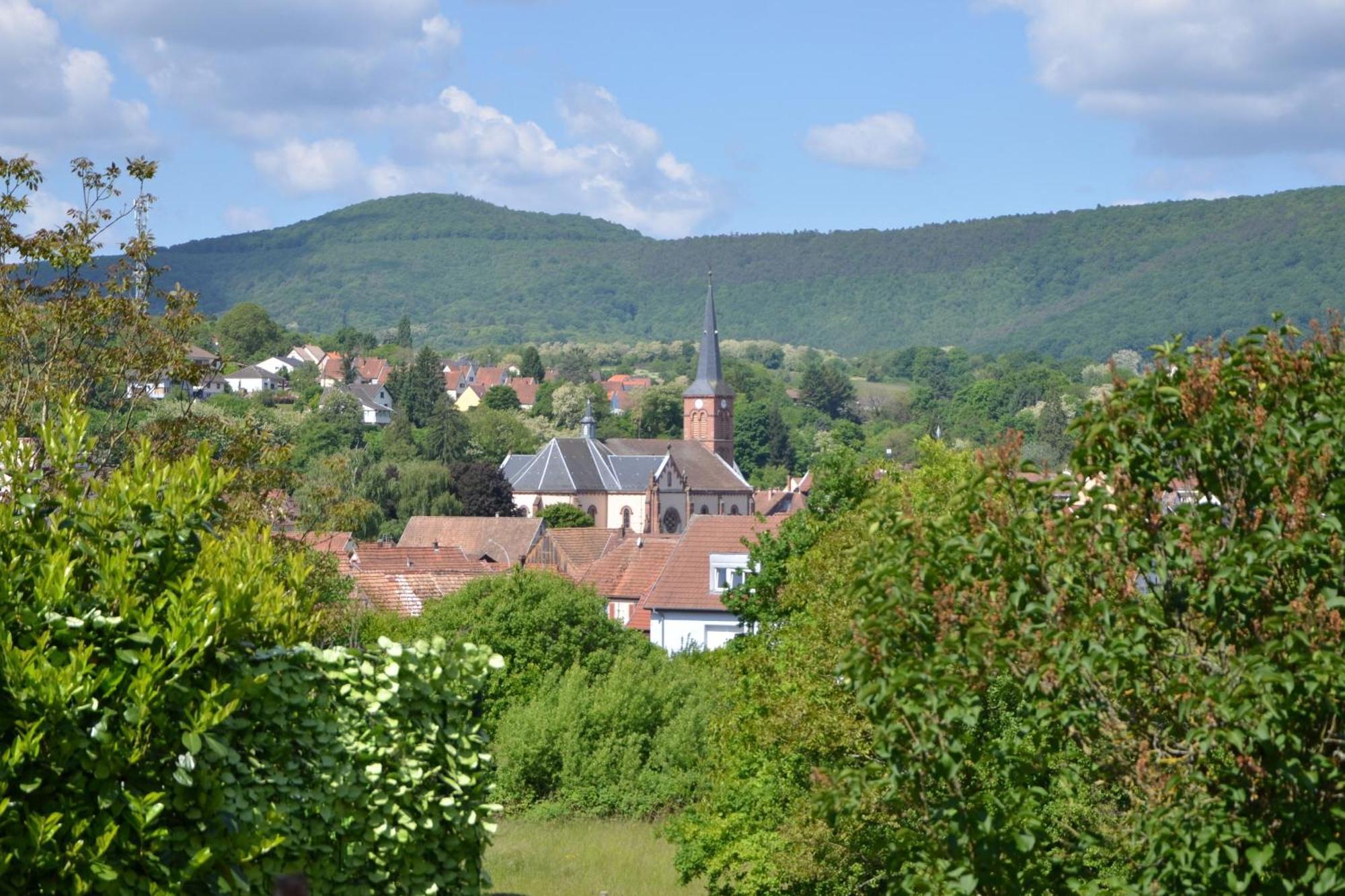 Horizons Du Haut Niederbronn-les-Bains Exterior foto